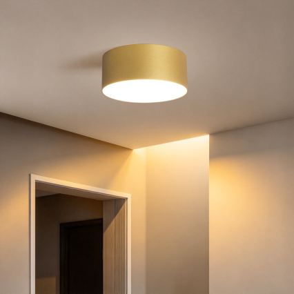 BRILAGI - Plafoniera da bagno LED FORIS LED/20W/230V Ø 15 cm dorata IP44