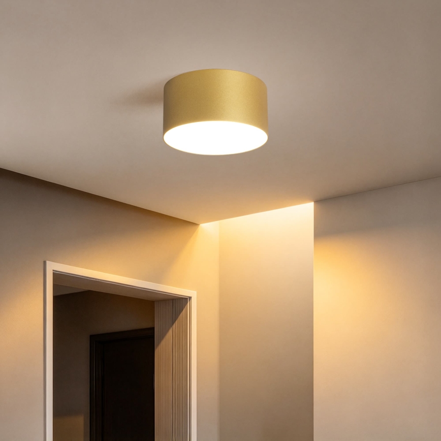 BRILAGI - Plafoniera da esterno LED FORIS LED/14W/230V Ø 12 cm dorata IP44