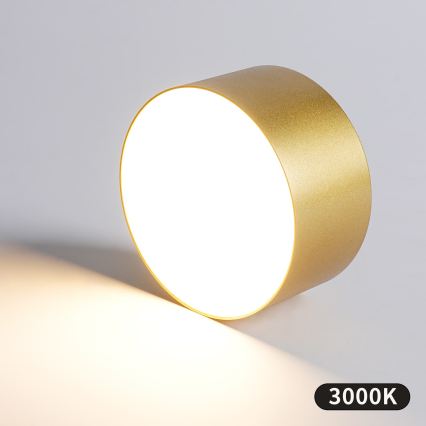 BRILAGI - Plafoniera da esterno LED FORIS LED/14W/230V Ø 12 cm dorata IP44