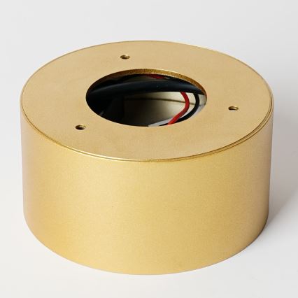 BRILAGI - Plafoniera da esterno LED FORIS LED/14W/230V Ø 12 cm dorata IP44