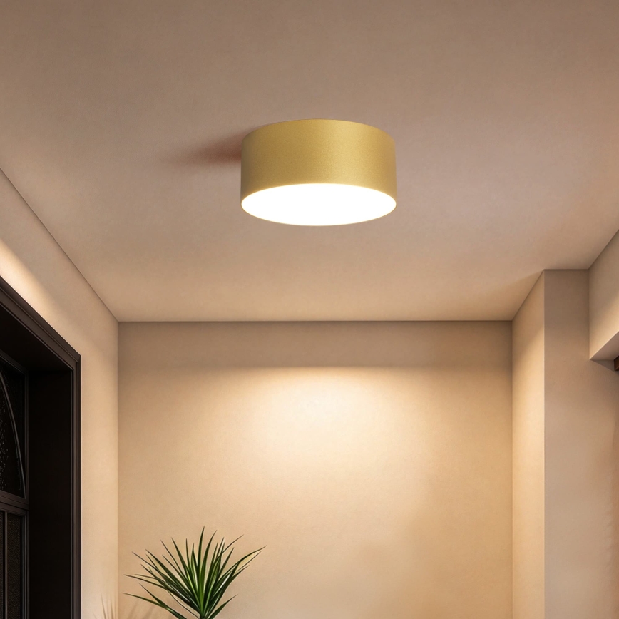 BRILAGI - LED Plafoniera da esterno FORIS LED/20W/230V Ø 15 cm dorata IP44