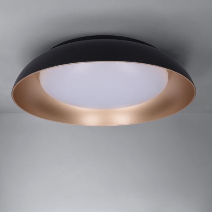 Brilagi - Plafoniera da soffitto dimmerabile ALVA LED/48W/230V 3000-6500K Ø 51 cm nera + telecomando