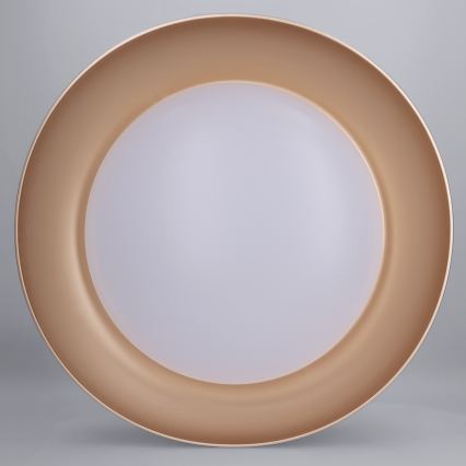 Brilagi - Plafoniera da soffitto dimmerabile ALVA LED/48W/230V 3000-6500K Ø 51 cm nera + telecomando