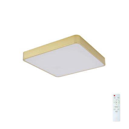 BRILAGI - Plafoniera dimmerabile a LED POOL SQUARE LED/48W/230V 3000–6000K 50x50 cm dorata + telecomando