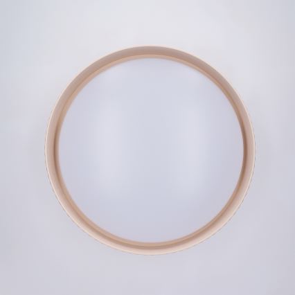 Brilagi - Plafoniera LED dimmerabile LUCIA LED/48W/230V 3000-6500K Ø 41 cm beige + telecomando
