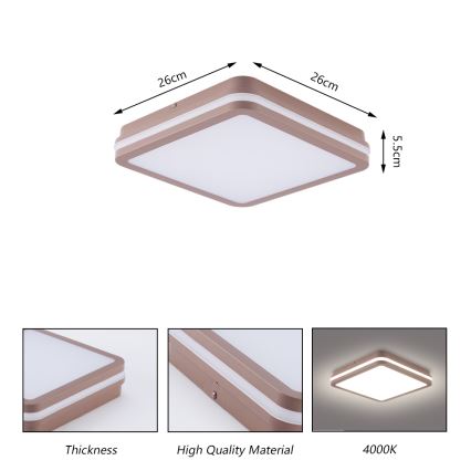 Brilagi - Plafonnier d'extérieur LED BENE LED/24W/230V 26x26 cm marron IP54