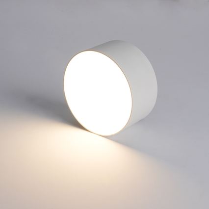 BRILAGI - LED Plafonnier d'extérieur FORIS LED/14W/230V Ø 12 cm blanc IP44