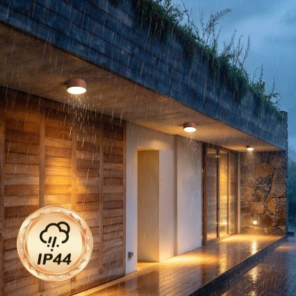 BRILAGI - Plafonnier LED d'extérieur FORIS LED/14W/230V Ø 12 cm bronze IP44