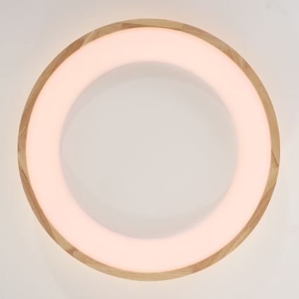 Brilagi - Plafonnier LED FALCON WOOD LED/40W/230V 3000/4000/6000K Ø 60 cm bois