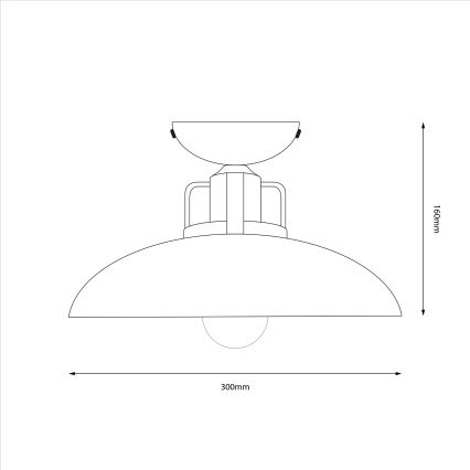 Brilagi - LED Plafonnier FLAMENGO 1xE27/60W/230V vert