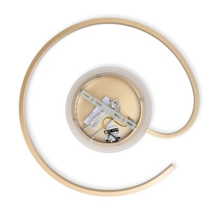 Brilagi - Plafonnier LED dimmable SPIRAL LED/56W/230V Ø 50 cm 3000/4000/6000K + télécommande
