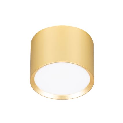 Brilagi - LED RGB+CCT dimmbarer Einbaustrahler SMOOTH 1xGX53/14W/230V 2700-6500K Wi-Fi Tuya gold