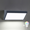 BRILAGI - LED RGBW dimmerabile applique da esterno TRIANGLE 1xE27/12W/230V 2700-6500K IP65 antracite