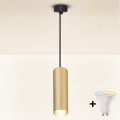 Brilagi - LED RGBW dimmerabile lampadario a sospensione su cavo SELE 1xGU10/4,8W/230V 3000K nero/oro + telecomando