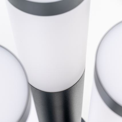 BRILAGI - Lampada da esterno dimmerabile LED RGBW ELIA 1xE27/6,5W/230V 2700-6500K IP44 Wi-Fi 50 cm antracite