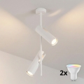 Brilagi - LED RGBW Luminaire dimmable sur tige BRANCH 2xGU10/6,5W/230V 2700-6500K blanc