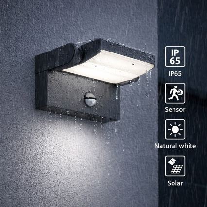 Brilagi - LED Solar-Wandleuchte mit Bewegungs- und Dämmerungssensor ANKLE LED/10W/3,7V 3000 mAh 4000K IP65 Anthrazit