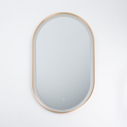 BRILAGI - Specchio da bagno LED ERBA LED/25W/230V 50x80 cm dorato IP44 CRI 90 dimmerabile + CCT