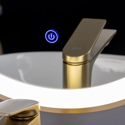 BRILAGI - Specchio da bagno LED ERBA LED/25W/230V 50x80 cm dorato IP44 CRI 90 dimmerabile + CCT