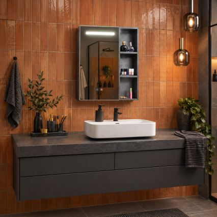 BRILAGI - LED-Spiegelschrank für das Badezimmer mit Hintergrundbeleuchtung TRABIA SINGLE 60x70 cm