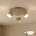 Brilagi - LED-Spotleuchte MONO 3xGX53/30W/230V beige/gold