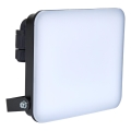 BRILAGI - LED-Strahler ELARA PRO LED/50W/230V IP65