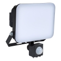 BRILAGI - LED-Strahler mit Sensor ELARA PRO LED/30W/230V IP65