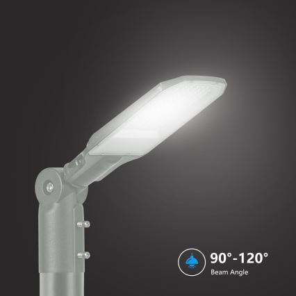 Brilagi - LED-Straßenleuchte für den Außenbereich URBANLIGHT LED/50W/230V grau IP65
