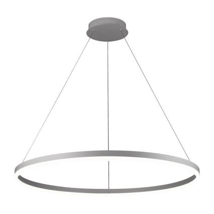 Brilagi - Suspension LED dimmable sur câble CIRCLE LED/55W/230V 3000-6500 K Ø 80 cm argenté + télécommande