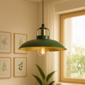 Brilagi - LED Suspension filaire FLAMENGO 1xE27/60W/230V vert