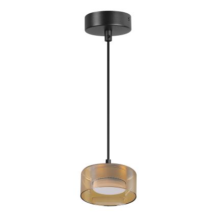 Brilagi - LED Suspension sur câble AURA LUX 1xGX53/30W/230V noir/doré