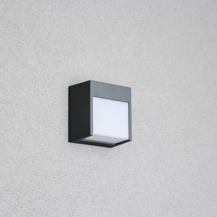 Brilagi - LED-Wandleuchte für den Außenbereich TERNI LED/12W/230V anthrazit IP44