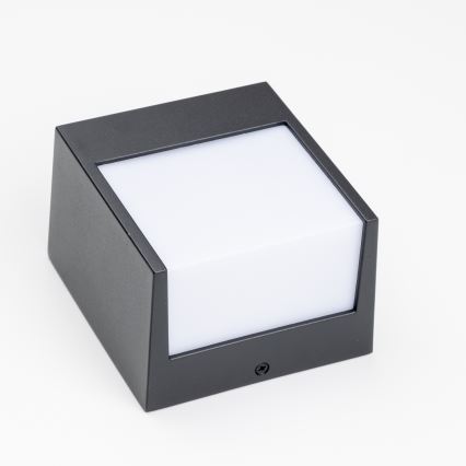 Brilagi - LED-Wandleuchte für den Außenbereich TERNI LED/12W/230V IP44