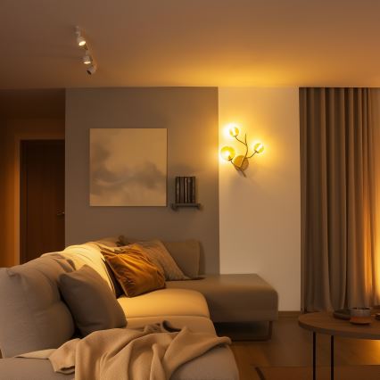 Brilagi - LED-Wandleuchte MISTEL 3xG9/3W/230V golden