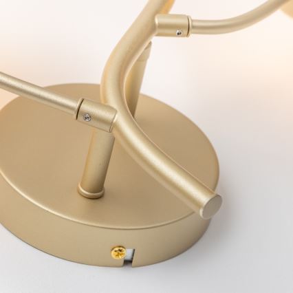 Brilagi - LED-Wandleuchte MISTEL 3xG9/3W/230V golden