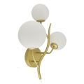Brilagi - LED-Wandleuchte MISTEL 3xG9/3W/230V golden/weiß