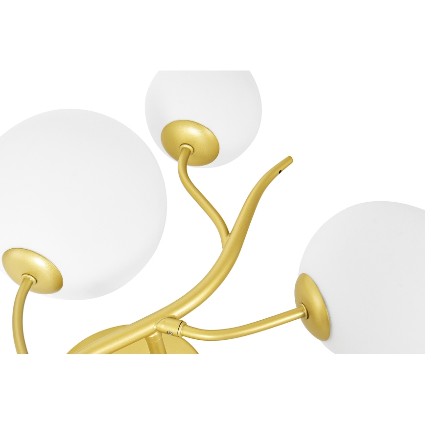 Brilagi - LED-Wandleuchte MISTEL 3xG9/3W/230V golden/weiß