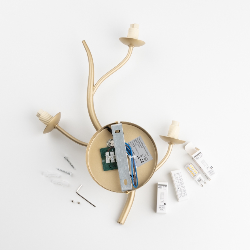 Brilagi - LED-Wandleuchte MISTEL 3xG9/3W/230V golden/weiß