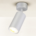 Brilagi - Luce Spot da bagno SELE 1xGU10/30W/230V IP44 argento