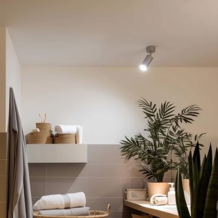 Brilagi - Luce Spot da bagno SELE 1xGU10/30W/230V IP44 argento