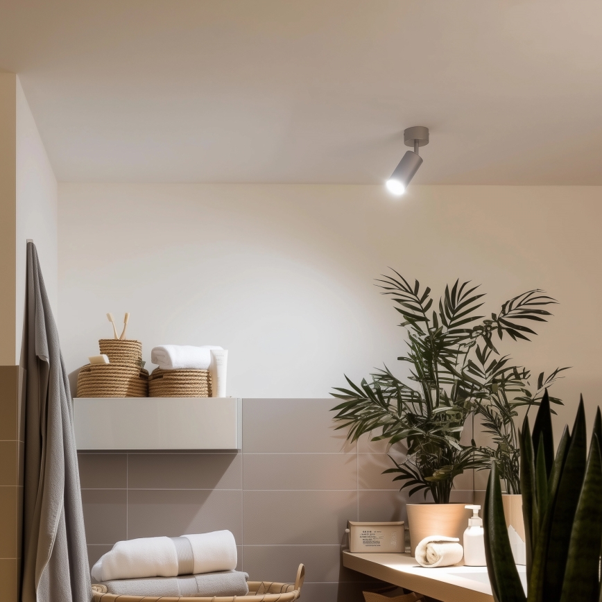 Brilagi - Luce Spot da bagno SELE 1xGU10/30W/230V IP44 argento