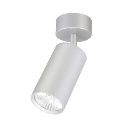 Brilagi - Luce Spot da bagno SELE 1xGU10/30W/230V IP44 argento