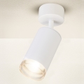 Brilagi - Luce Spot da bagno SELE 1xGU10/30W/230V IP44 bianco
