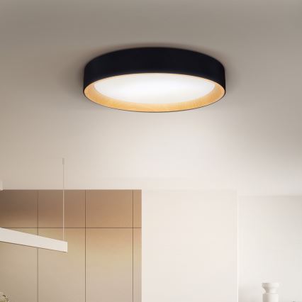 Brilagi - Plafonnier à intensité variable LARIOS LED/48W/230V 3000-6500K ø 39 cm noir + Télécommande