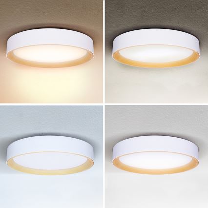 Brilagi - Plafonnier à intensité variable LARIOS LED/48W/230V 3000-6500K ø 39 cm blanc + Télécommande