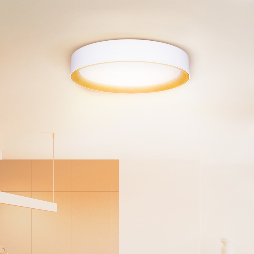 Brilagi - Plafonnier à intensité variable LARIOS LED/48W/230V 3000-6500K ø 39 cm blanc + Télécommande