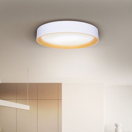 Brilagi - Plafonnier à intensité variable LARIOS LED/48W/230V 3000-6500K ø 39 cm blanc + Télécommande