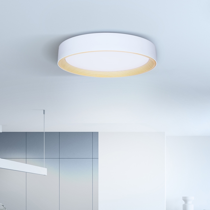 Brilagi - Plafonnier à intensité variable LARIOS LED/48W/230V 3000-6500K ø 39 cm blanc + Télécommande