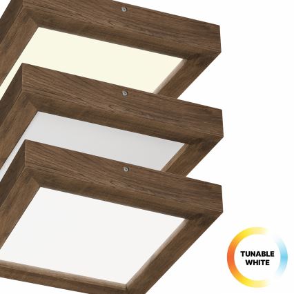 Brilagi - Plafonnier à intensité variable salle de bain WOODY FRAME LED/24W/230V chêne noyer 30x30 cm 3000-6000K IP44 + Télécommande