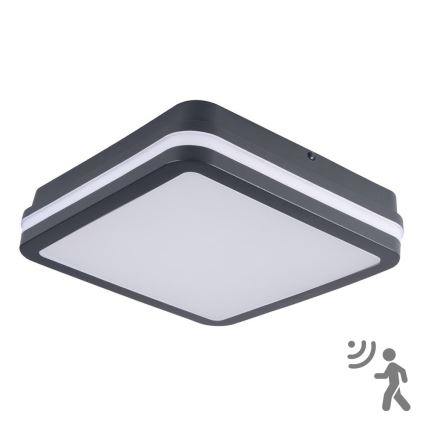 Brilagi - Luminaire extérieur avec détecteur BENE LED/18W/230V 22x22 cm anthracite IP54